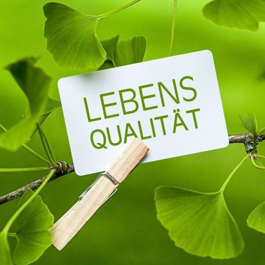 Lebensqualität
